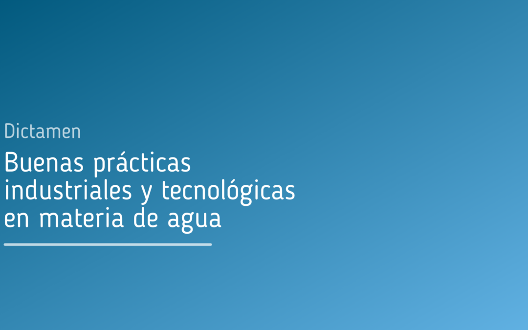 Dictamen Comité Económico y Social Europeo. Buenas prácticas industriales y tecnológicas en materia de agua